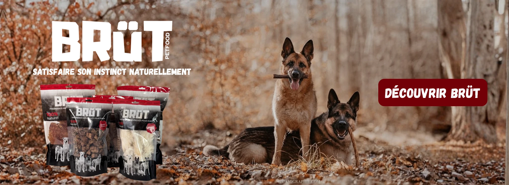 The Walking Dogs